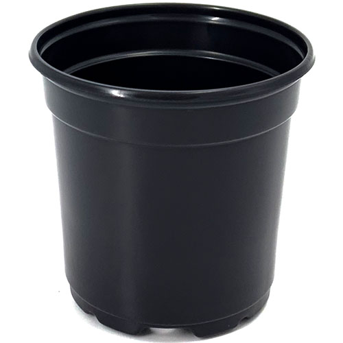 4 Inch Round Pot Coex Black with Tag Slot - 41,140 per pallet - Grower